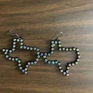 Texas earrings
